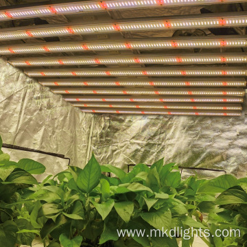 Indoor Full Spectrum 1200W Led Grow Light